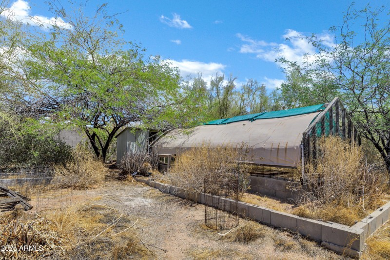 Greenhouse