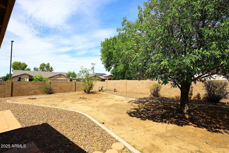 Backyard3