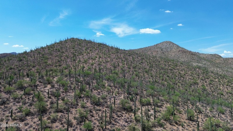 DJI_0704