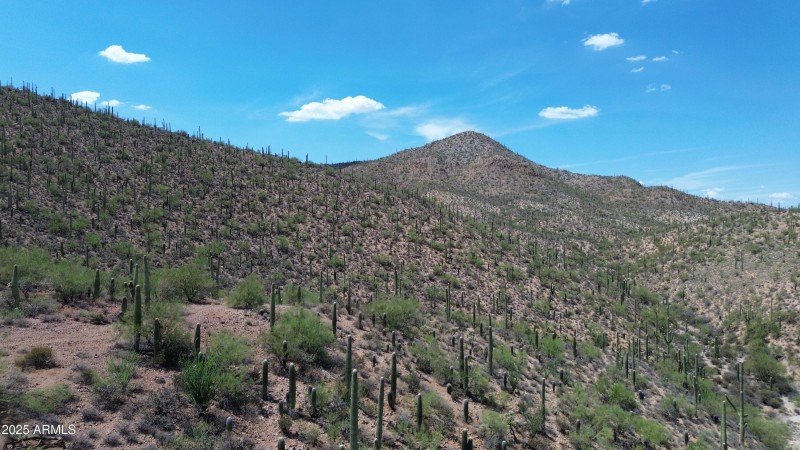 DJI_0733