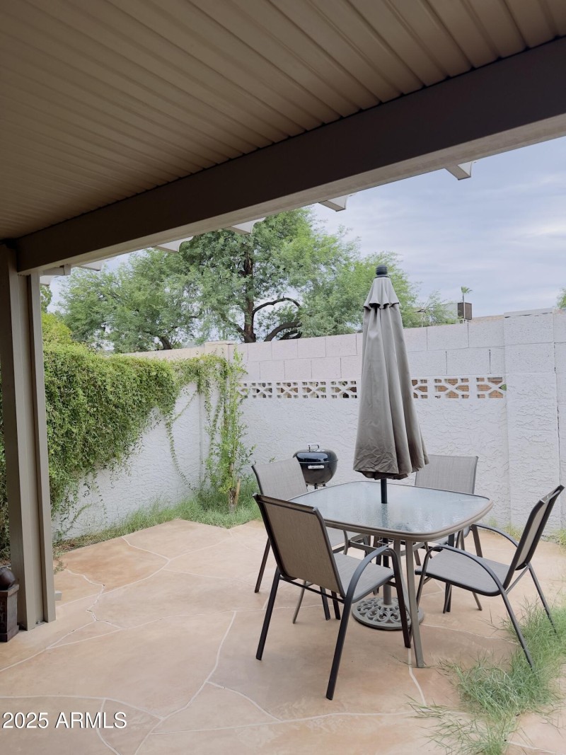 Backyard 2