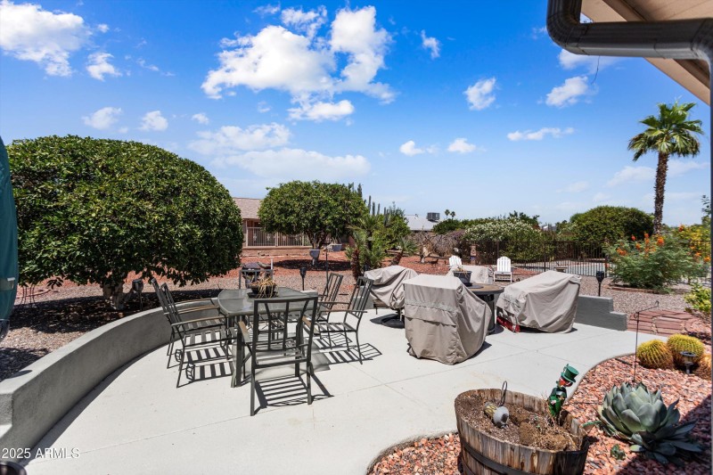 Back yard