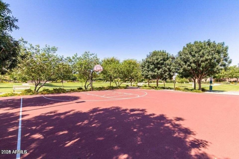Basketball Court
