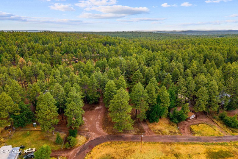 2444SJanLn-Pinetop-AZ-51