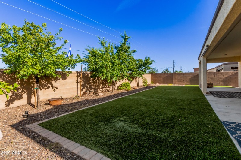 Mature trees and turf backyard