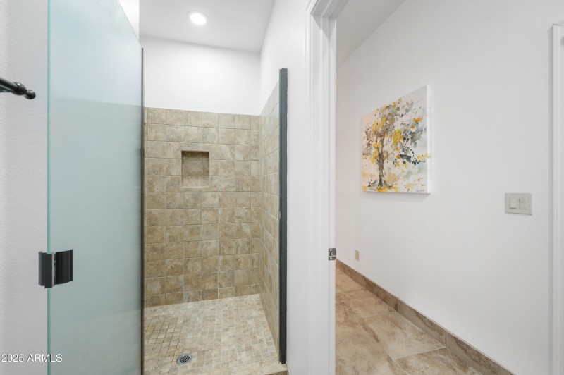 Guest Suite Shower