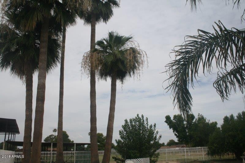 Yard6
