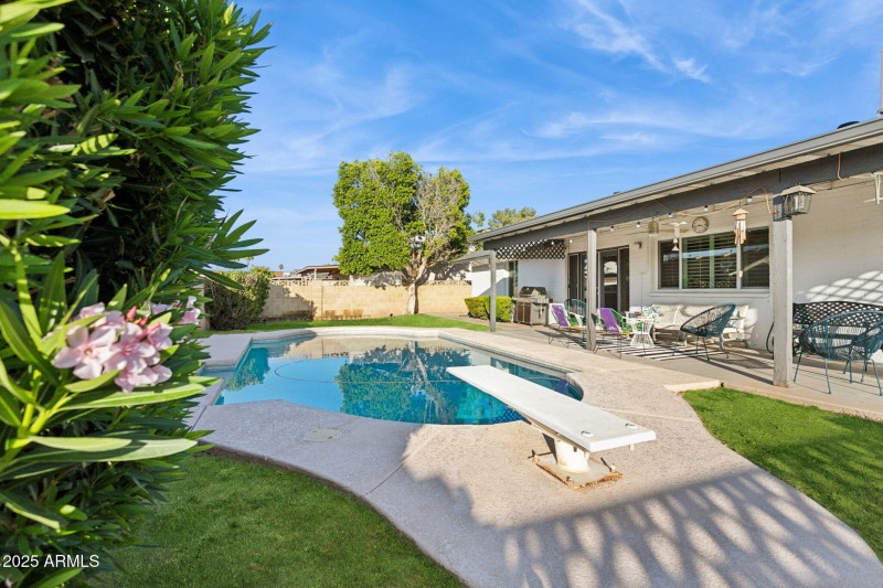 Rear yard view