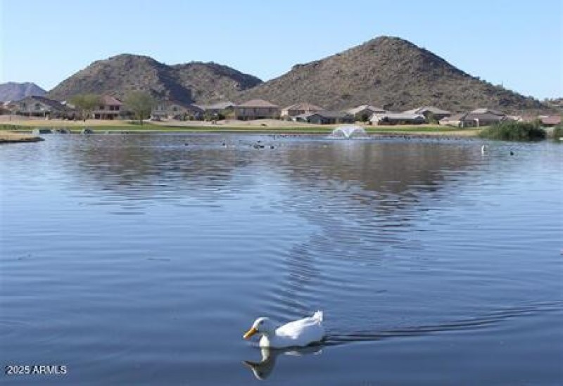 Throw Back Fishing Lake