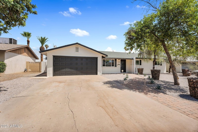 2-web-or-mls-Marigold-2