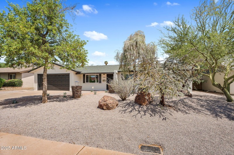 4-web-or-mls-Marigold-4