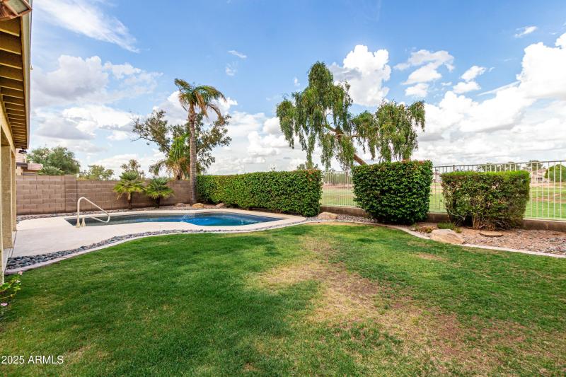 Backyard