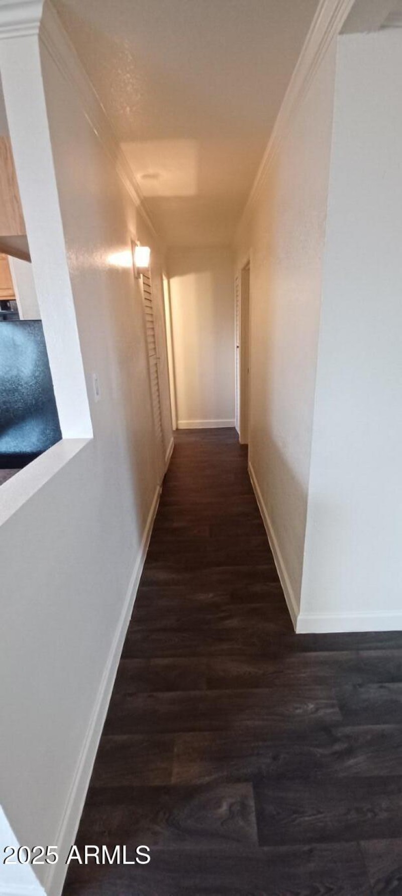 762728019-20250717_145134