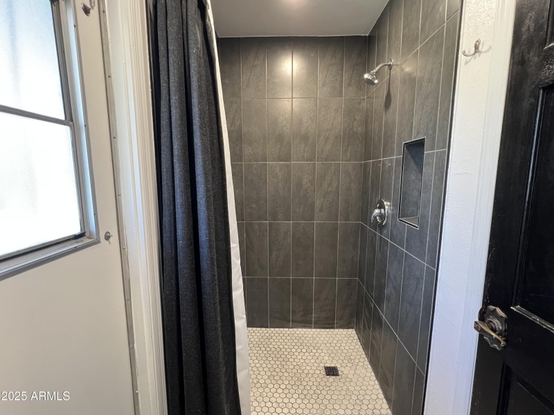 Primary Shower