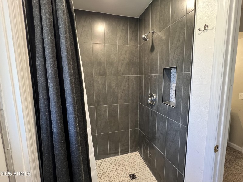 Primary Shower angled view