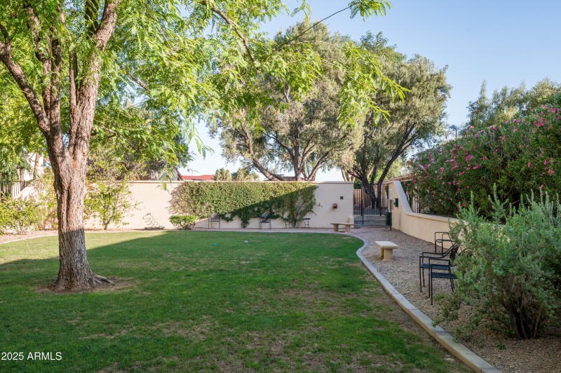 Off Lease Dog Park