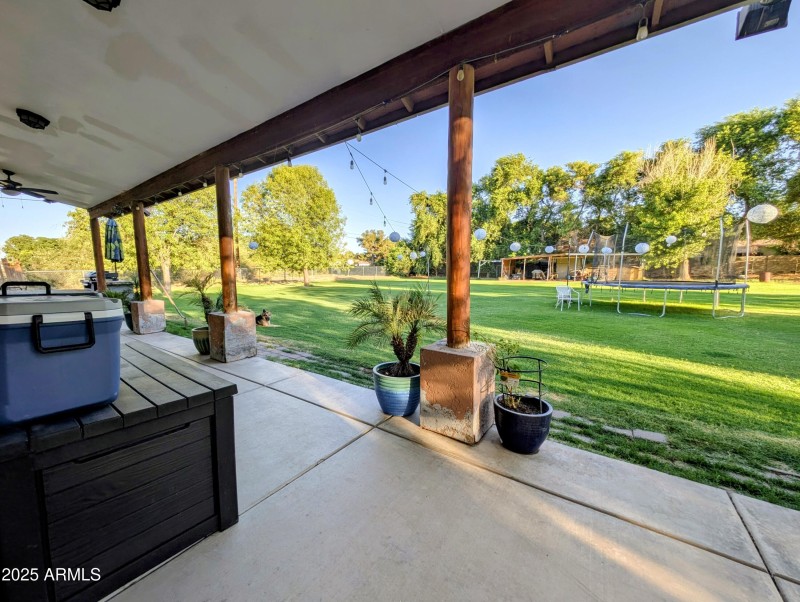 PXL_20250724_012530142~2