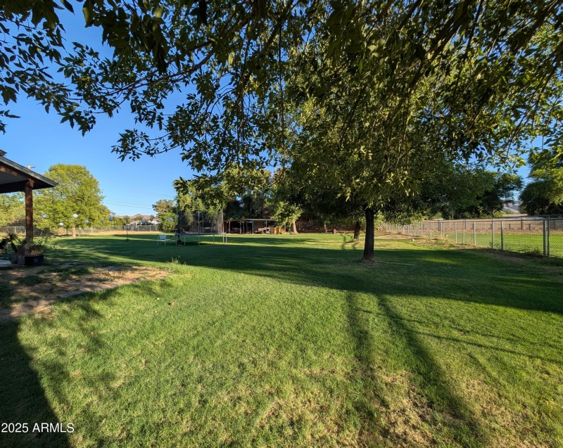 PXL_20250724_011940059