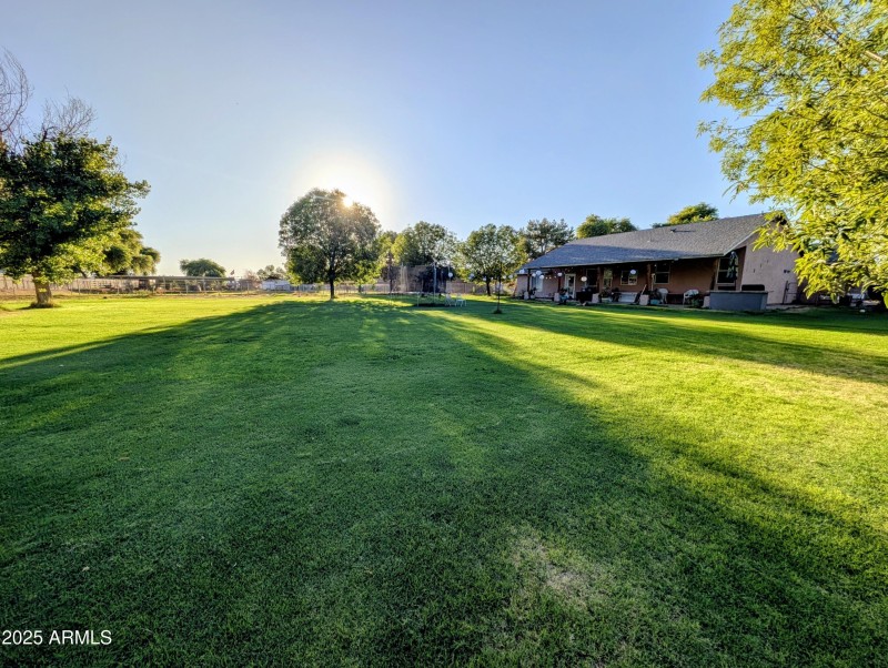 PXL_20250724_012304796~2