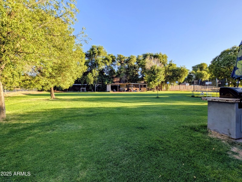 PXL_20250724_012358859~2