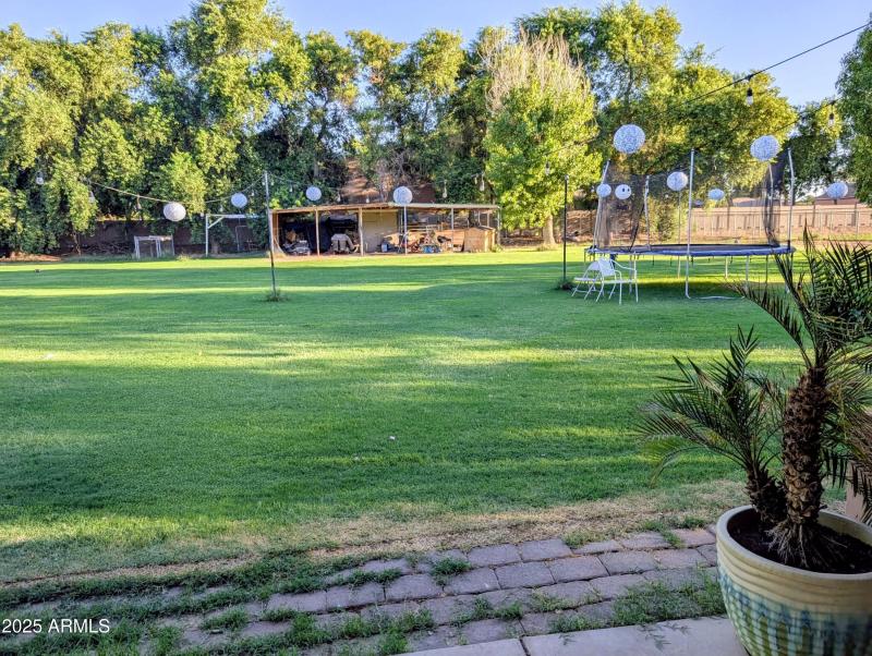 PXL_20250724_012446615~2