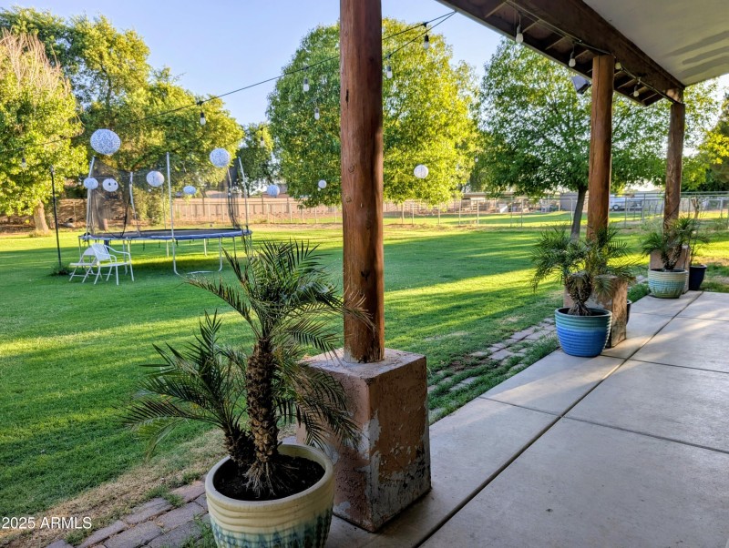 PXL_20250724_012455851~2