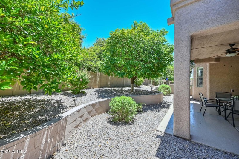 Backyard-Patio