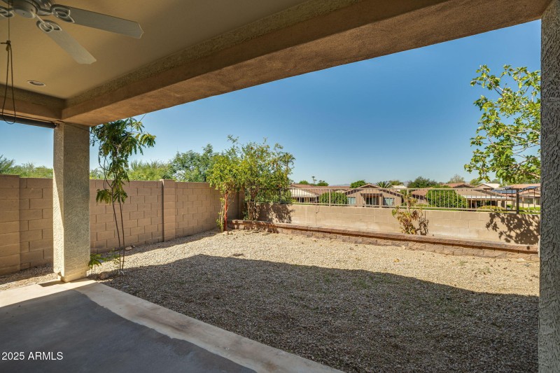 Back Yard