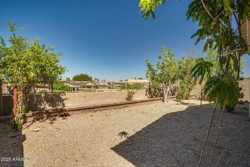 Back Yard