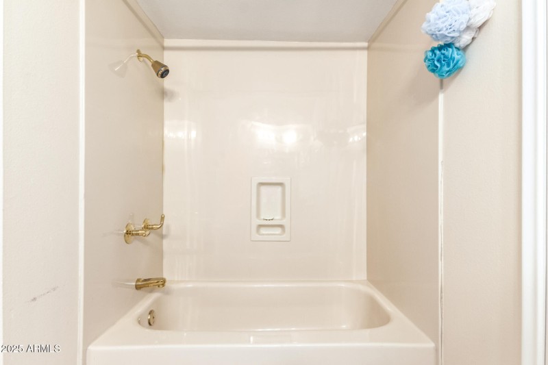 Tub/shower in hallbath