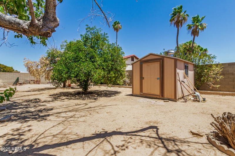 East backyard with sheds