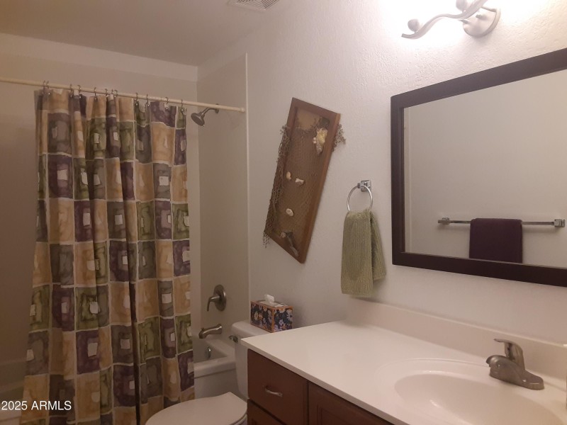9-HallBathroom