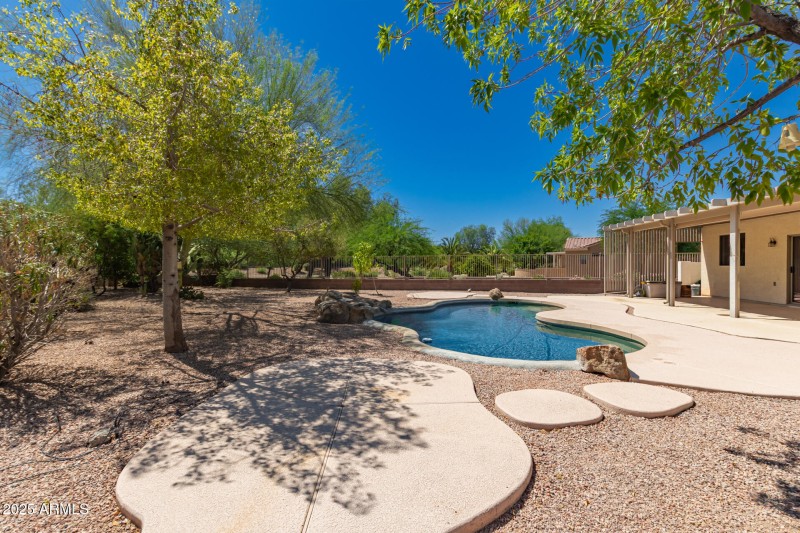 Backyard w/Pool