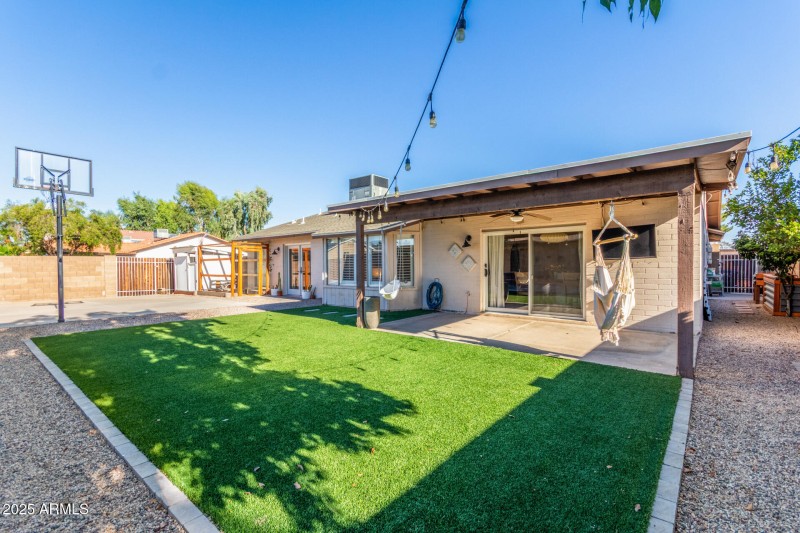 Backyard Turf
