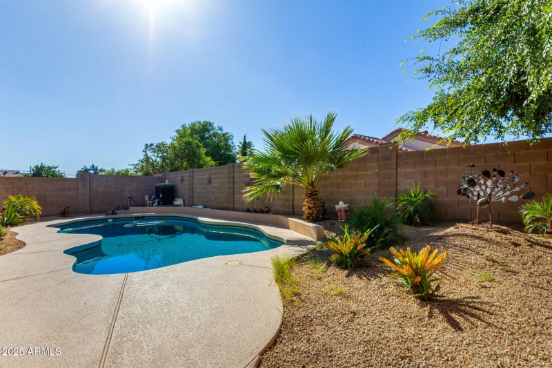 28 Backyard