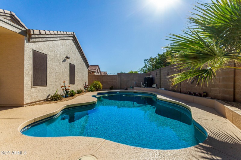 29 Backyard