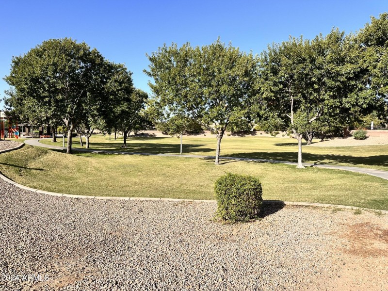 Large Park 2