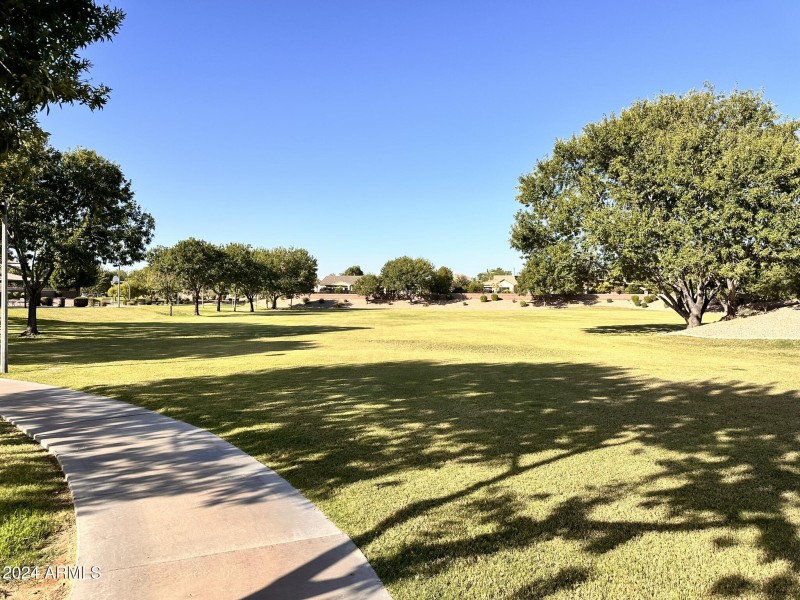 Large Park 3