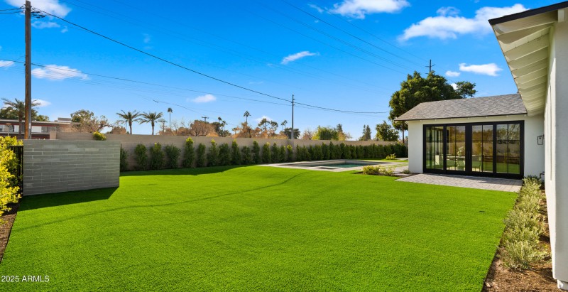 Backyard3