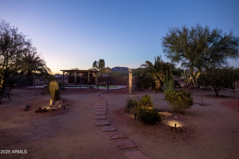 Backyard