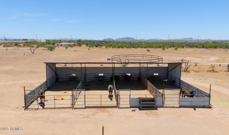 Horse Haven!