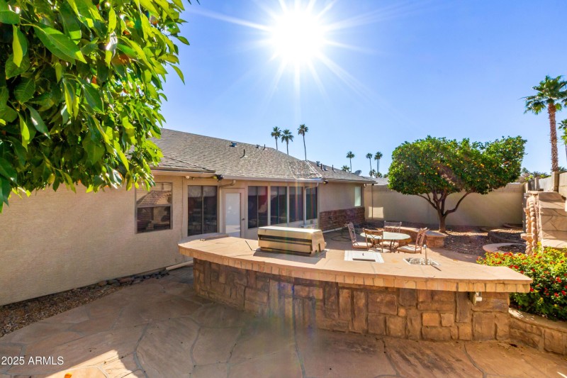 Back Yard