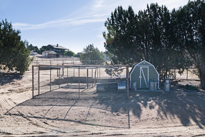 Chicken Coop