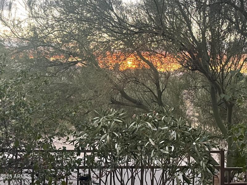 Views From Front Patio