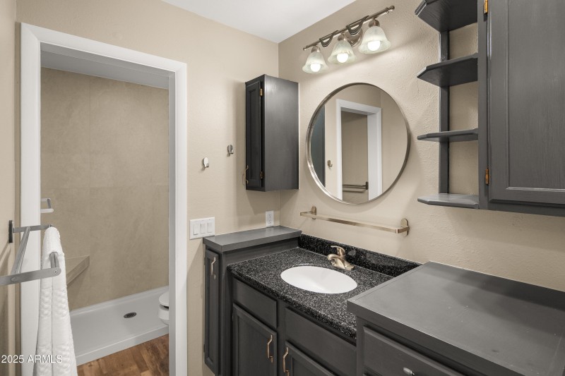 Lower Level Bathroom