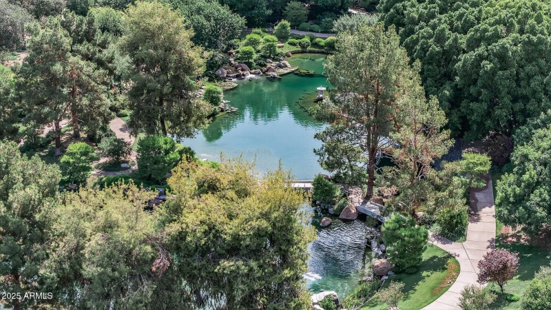 Japanese Garden rooftop view