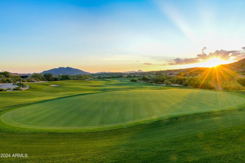 17 Green
