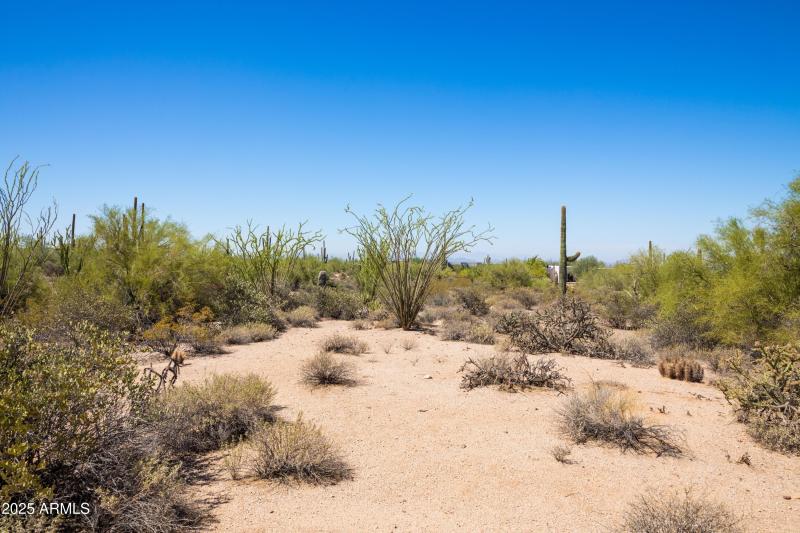 Natural Desert