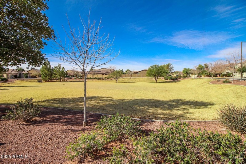 44 Community Park