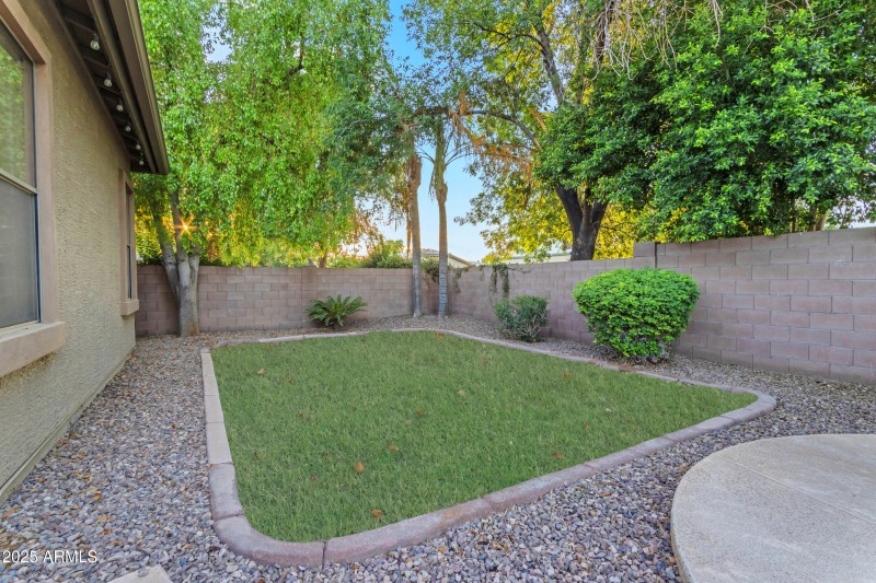 Back yard